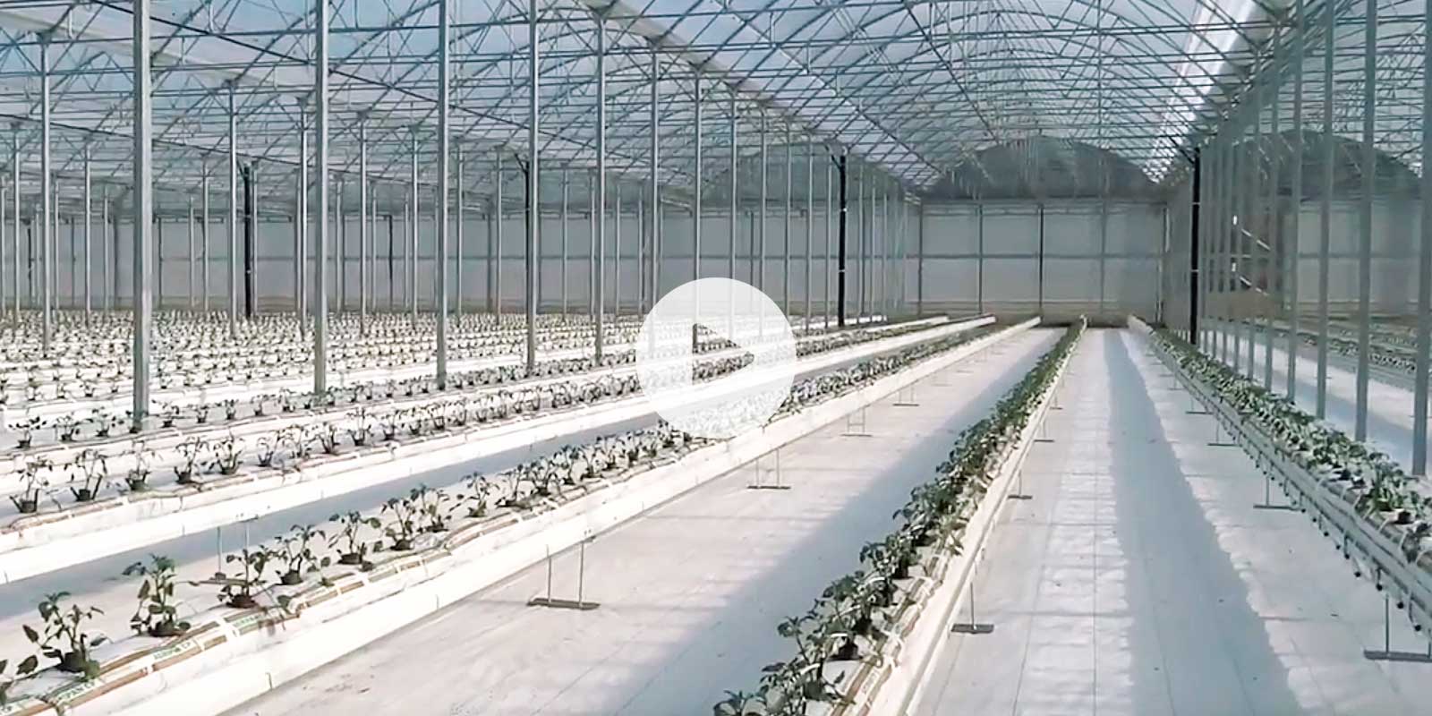 1600x800 video