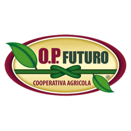 linee-01opfuturo