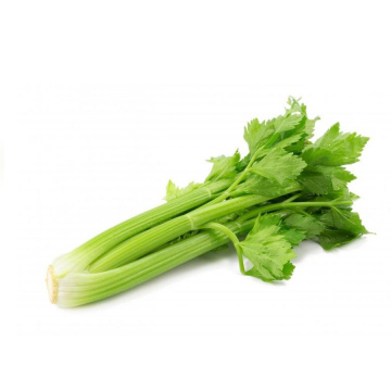 pl-sedano_verde