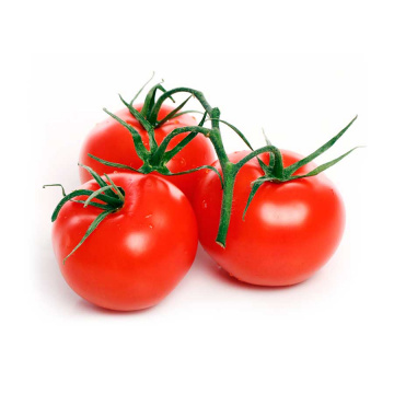 pomodoro-grappolo-rosso_551330904