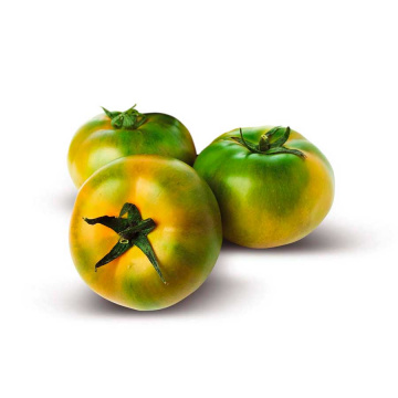 pomodoro-tondo-verde