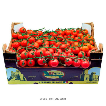 prodotti-lazio_ciliegino_909822091