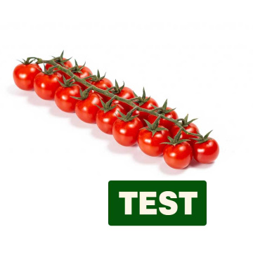 test-1sfuso2